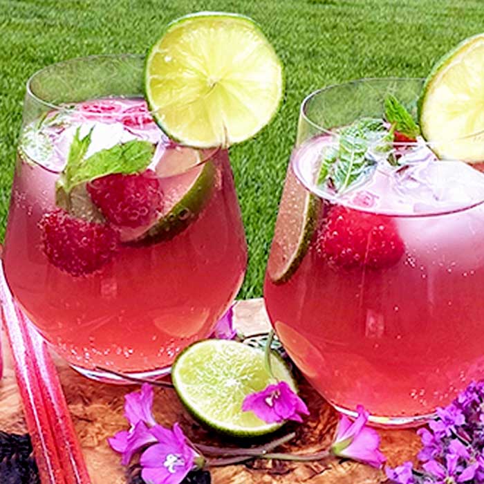 Raspberry Gin Fizz made with Esprala Raspberry & Lime fruit drink